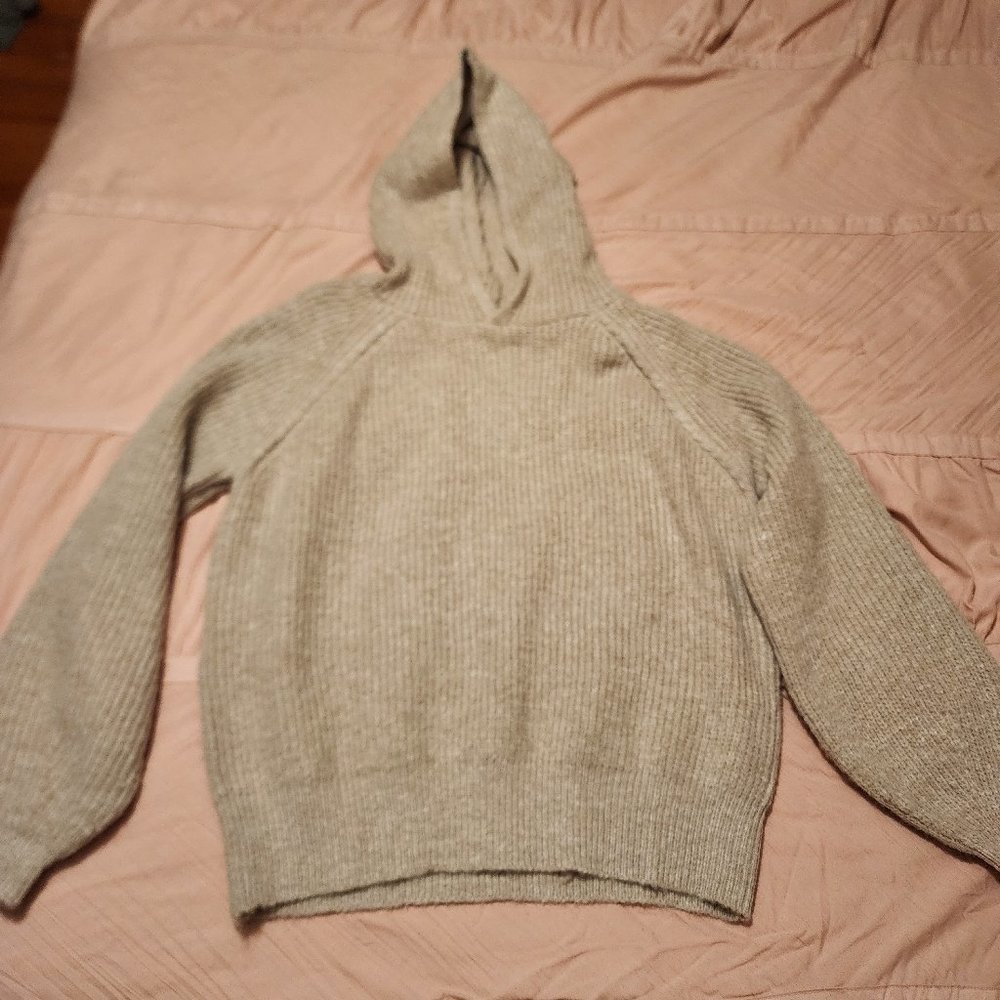 Blue Ivy Hoodie Sweater